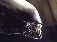 ������������ 20th Century Fox �� ������� ��� ����������