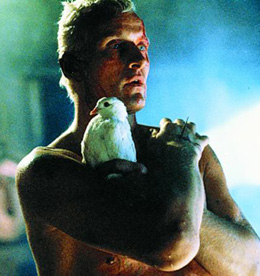������ ����� � Blade Runner