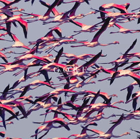 Deftones �� ������� �� ����� ���� �������� � �������� �� ������ Gore